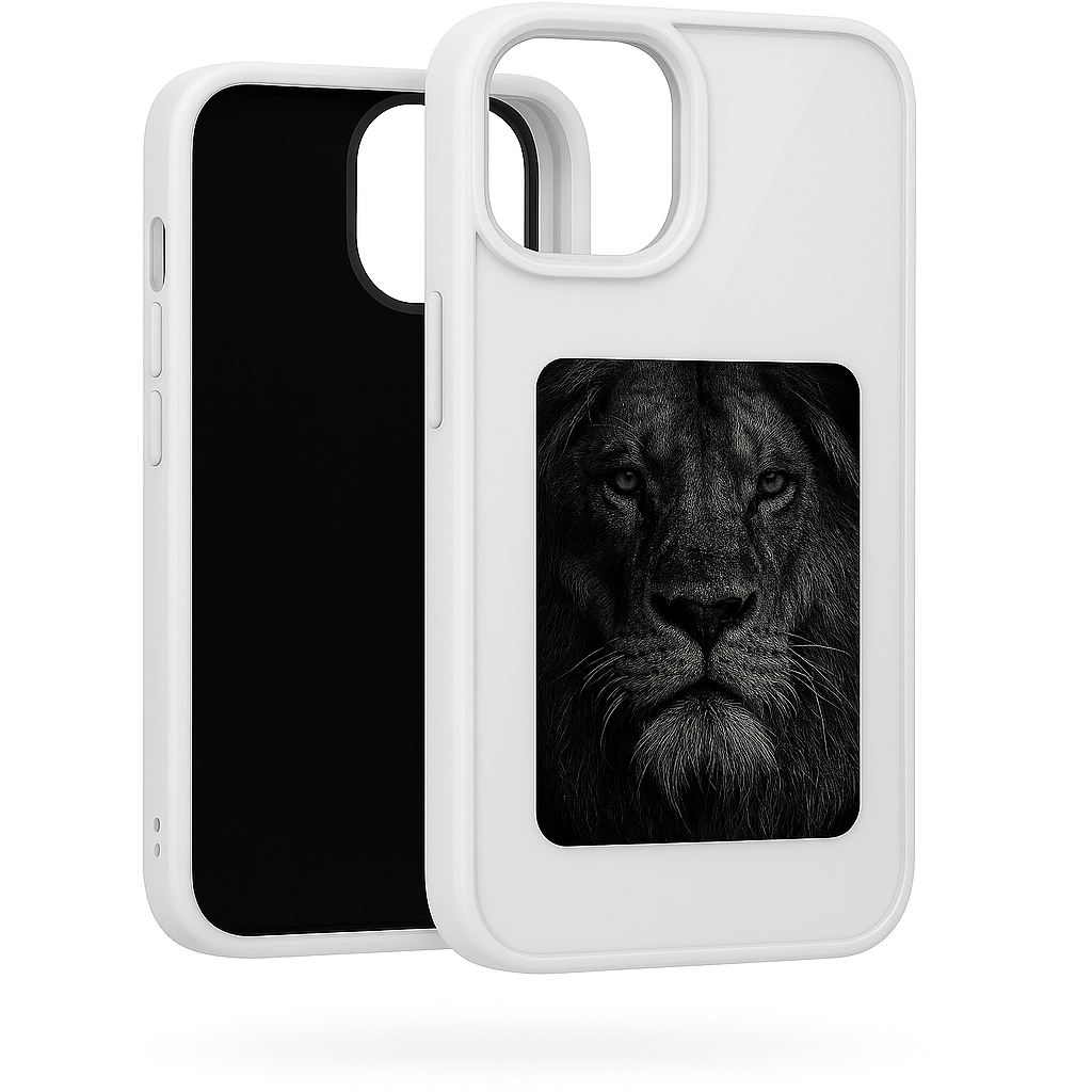 Keycoque grise